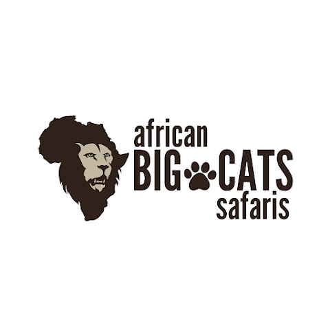 African Big Cats Safaris channel avatar
