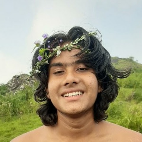 Hitchhiking Nomad channel avatar
