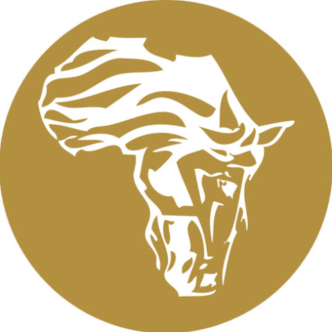 Horizon Horseback - Horse Riding Safaris channel avatar