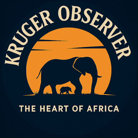 Kruger Observer channel avatar
