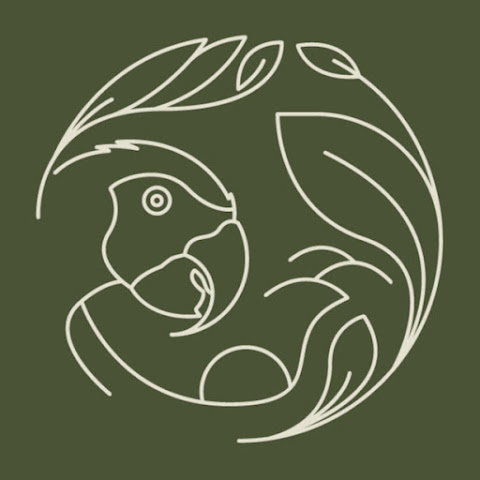 Porakaá | Safari | Kruger National Park channel avatar