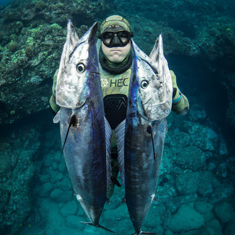 Ryan Myers Expeditions channel avatar
