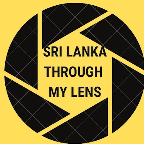 Sri Lanka Through My Lens channel avatar