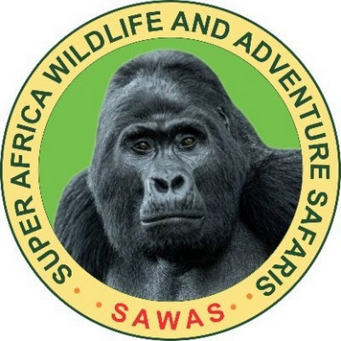 SUPER AFRICA WILDLIFE AND ADVENTURE SAFARIS LTD channel avatar