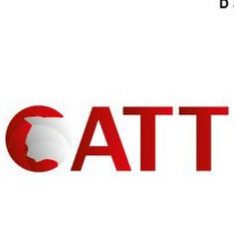 CATT_Diamond channel avatar