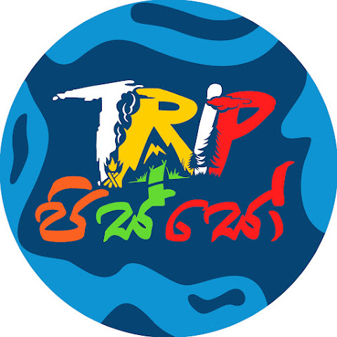 Trip Pisso channel avatar